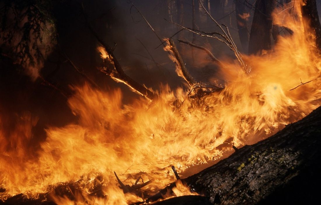 В Пензенской области природный пожар был потушен в течение часа